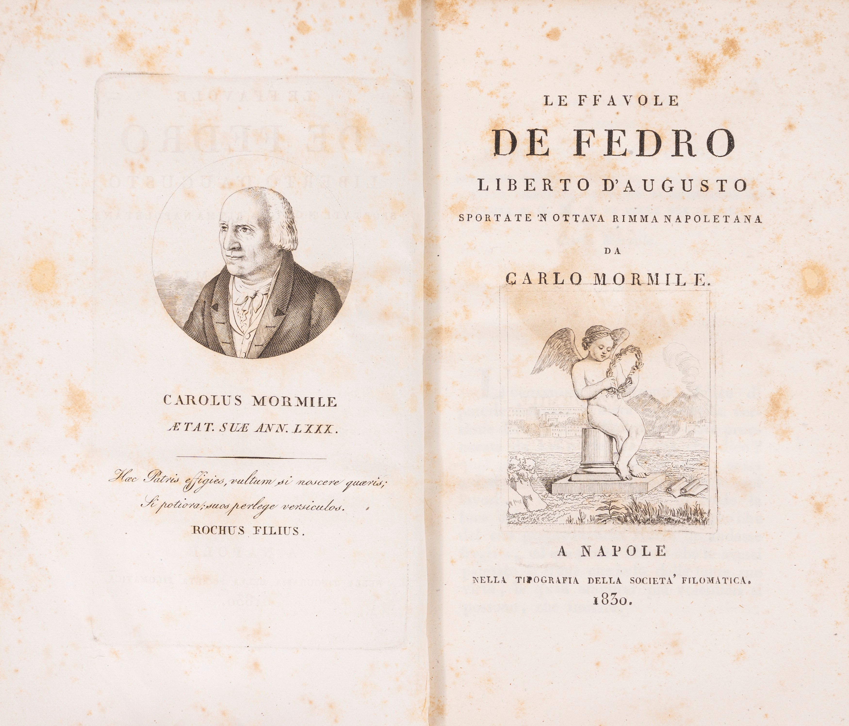 Il Dante popolare o la Divina Commedia in dialetto napolitano