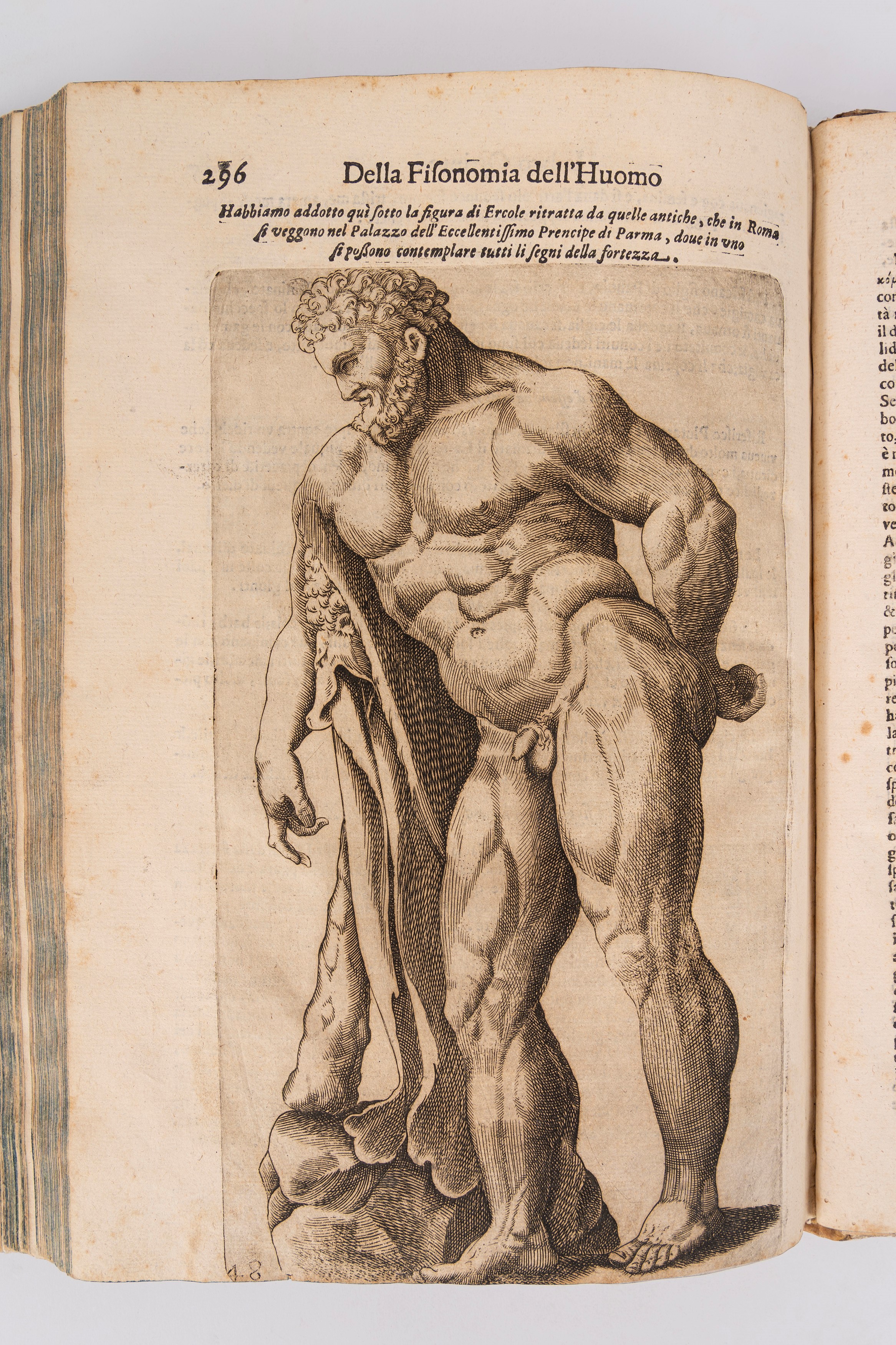 Della fisonomia dell'huomo [...] libri sei