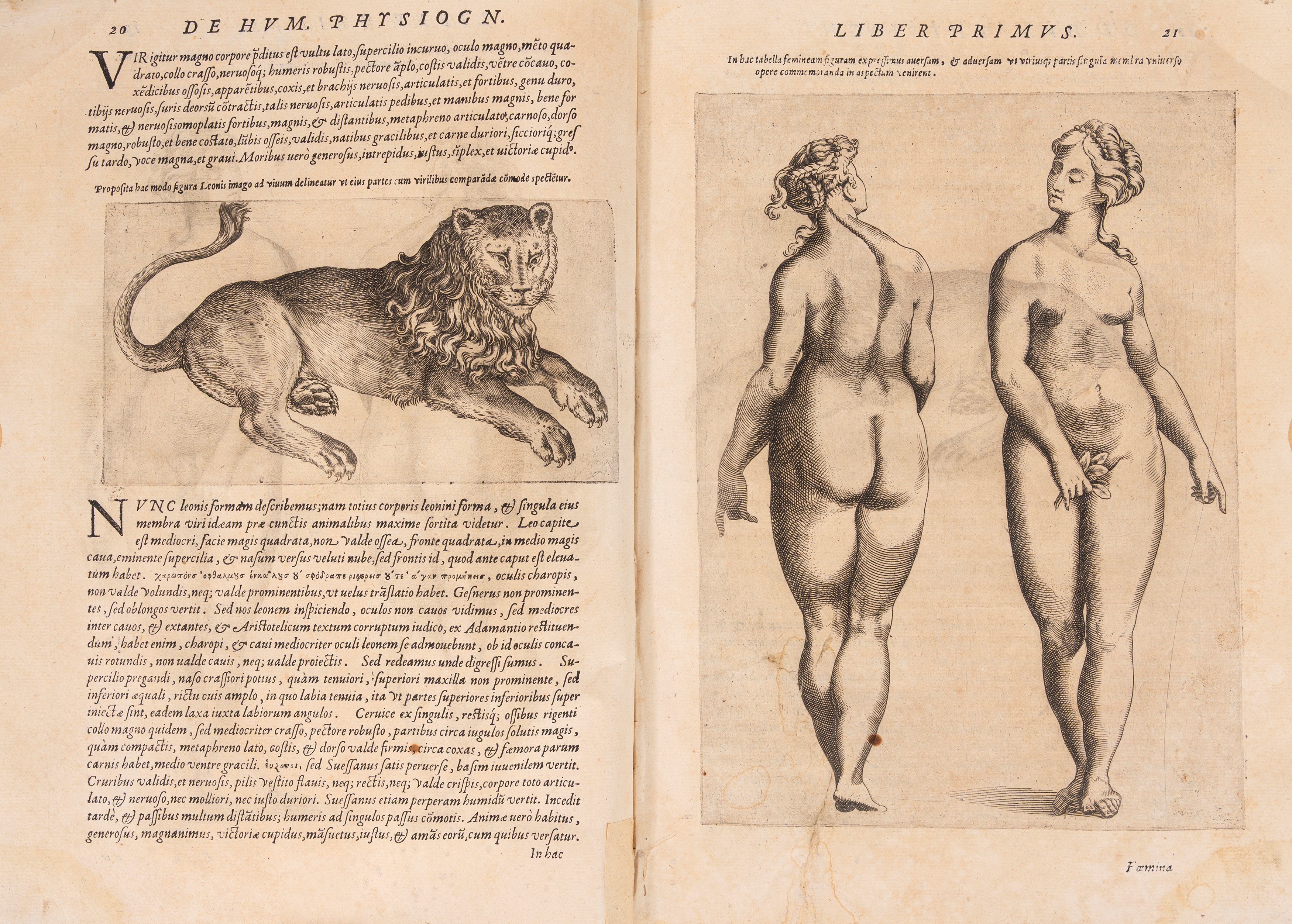 De Humana physiognomonia