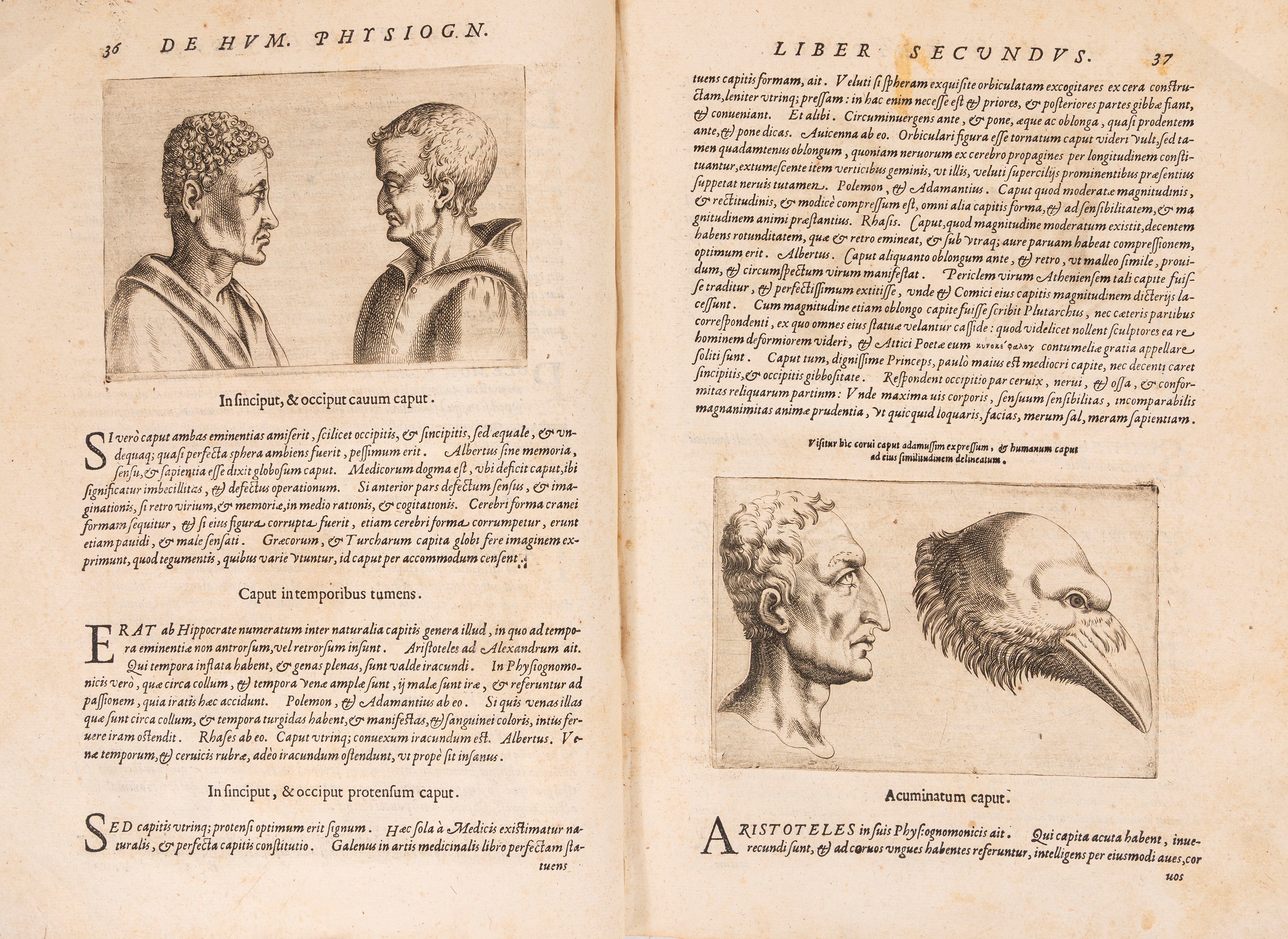 De Humana physiognomonia