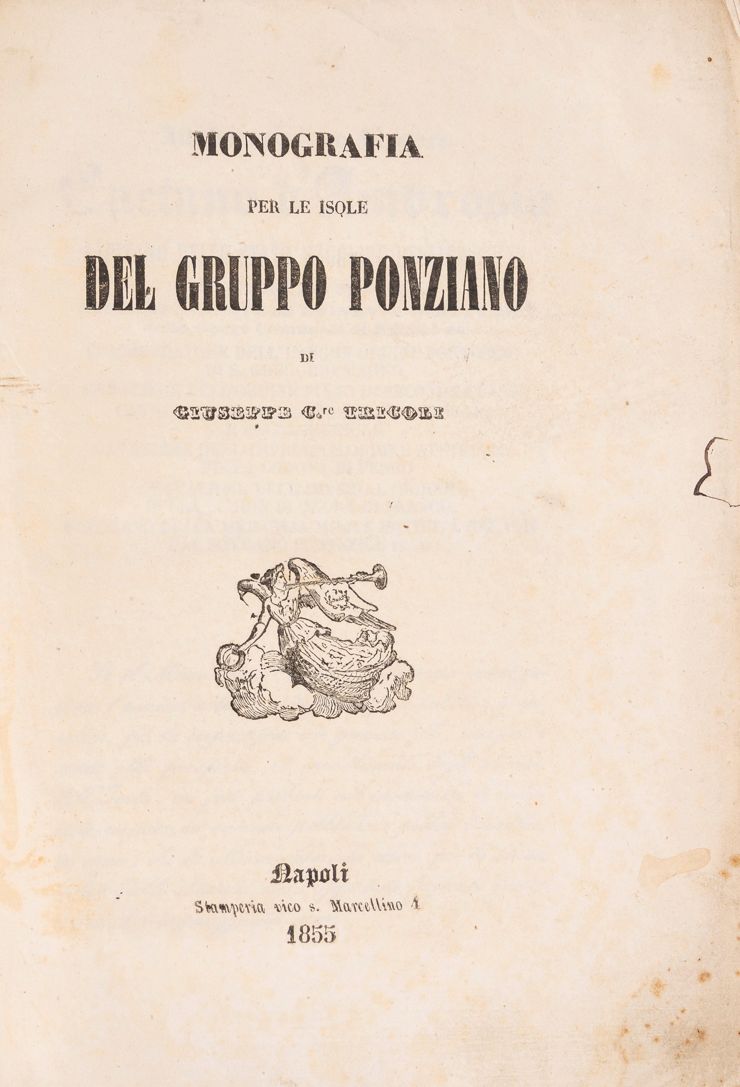 Monografia per le isole del gruppo ponziano