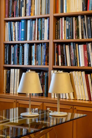 Coppia di lampade modello 'Melampo'