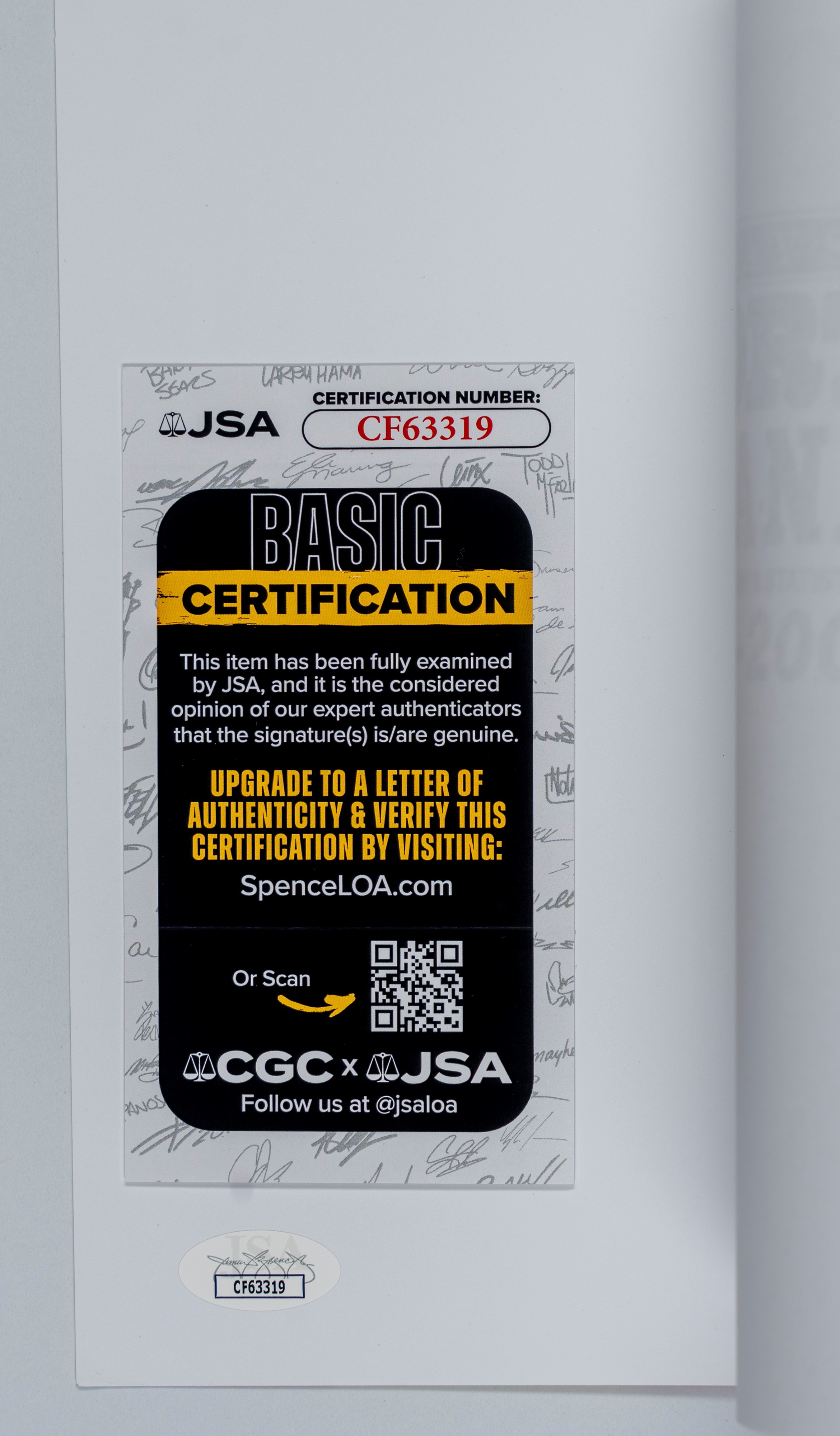 Pam Dawber - Foto autografata - Mork & Mindy - 21,5x 20 cm (8”x10” inch) - Cert. PSA