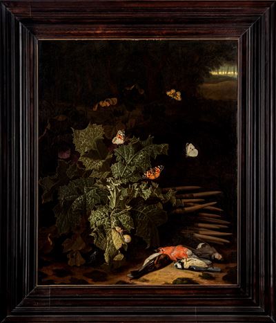 Natura Morta con Farfalle e Cardellini En Plein Air