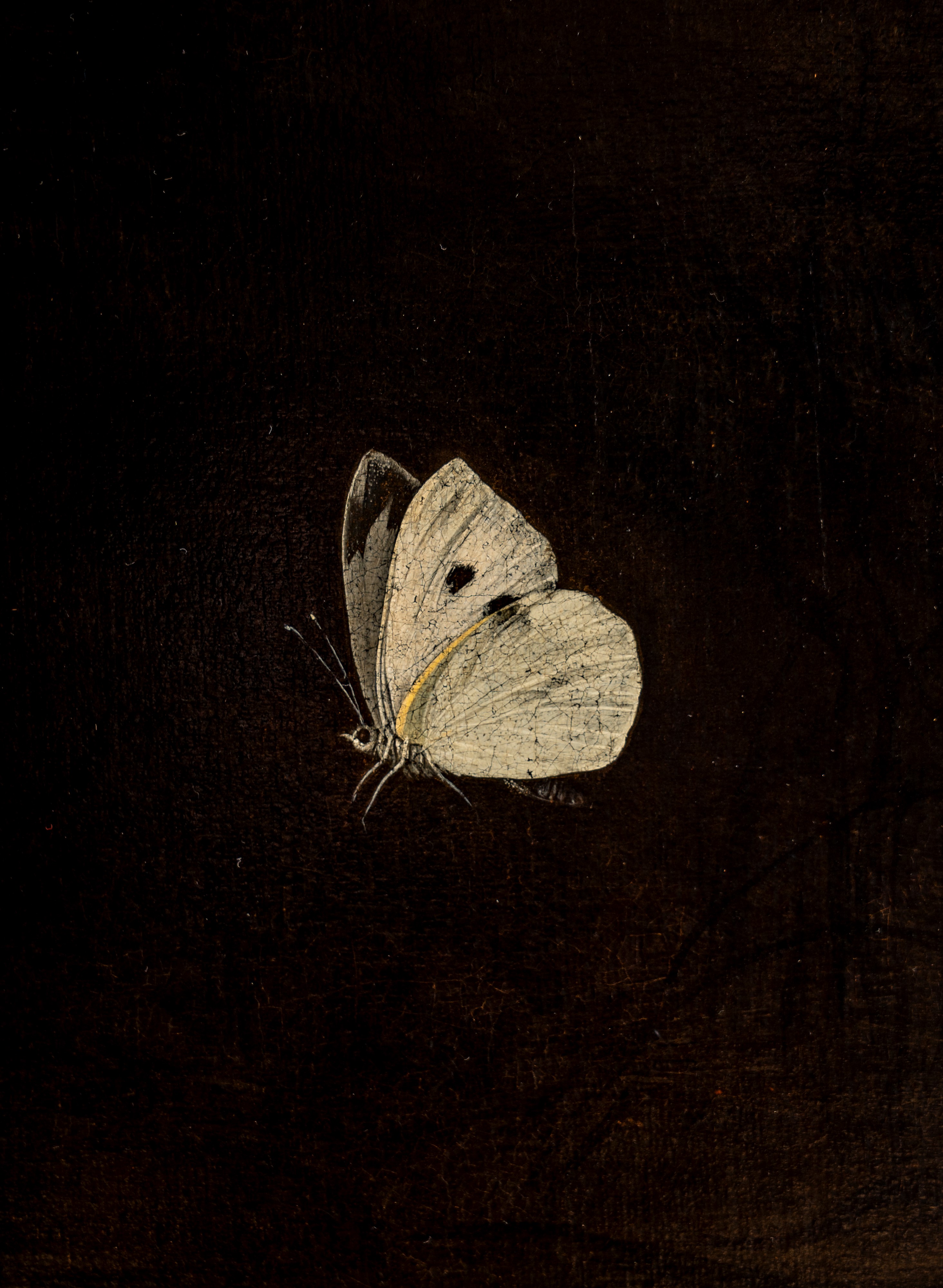 Isaac Denies - Natura Morta con Farfalle e Cardellini En Plein Air
