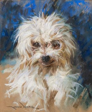 Il cagnolino bianco