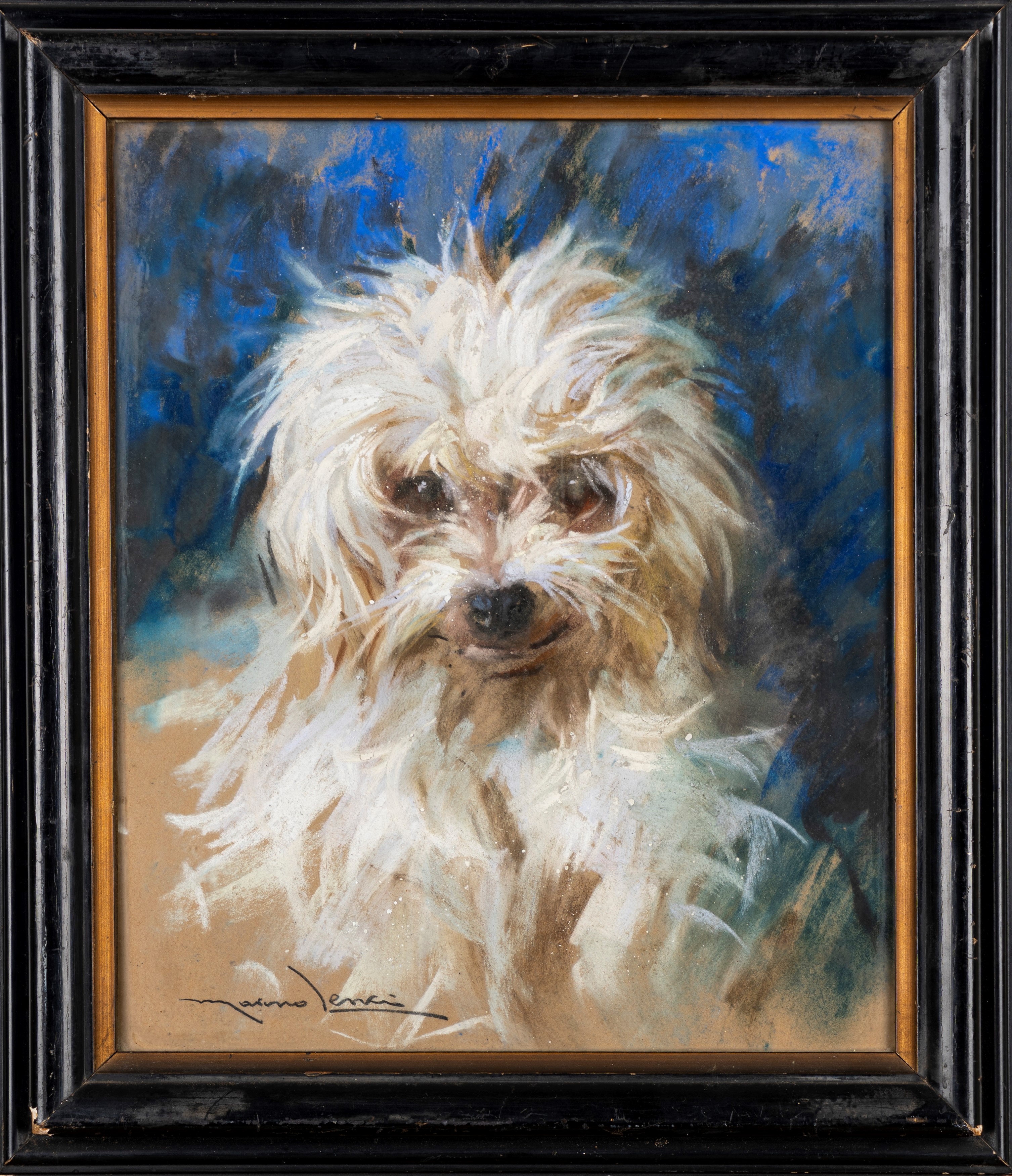 Il cagnolino bianco