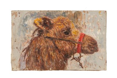 Lama, olio su tela non intelaiata