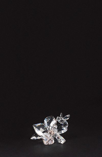 Ape in cristallo Swarovski (edizione annuale 2007, n. 871895) con scatola