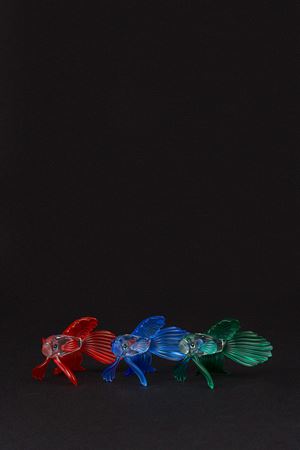 Lotto composto da tre pesci combattenti