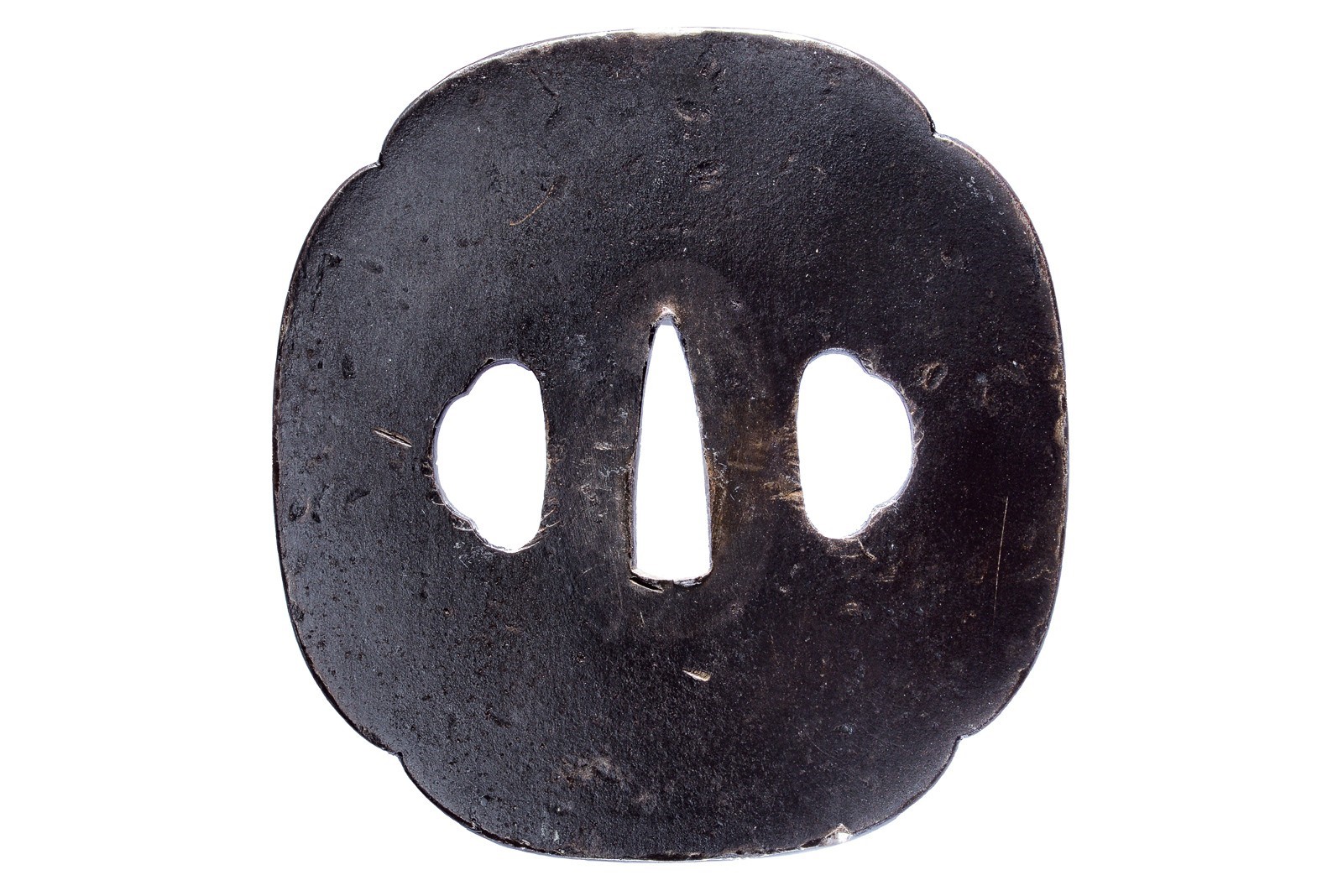 Tsuba firmata Ryuunshi Hidekazu