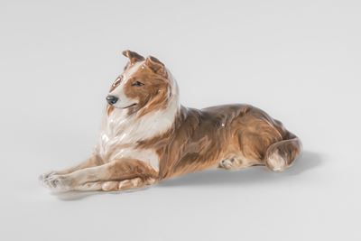 Royal Copenhagen, Collie in porcellana policroma