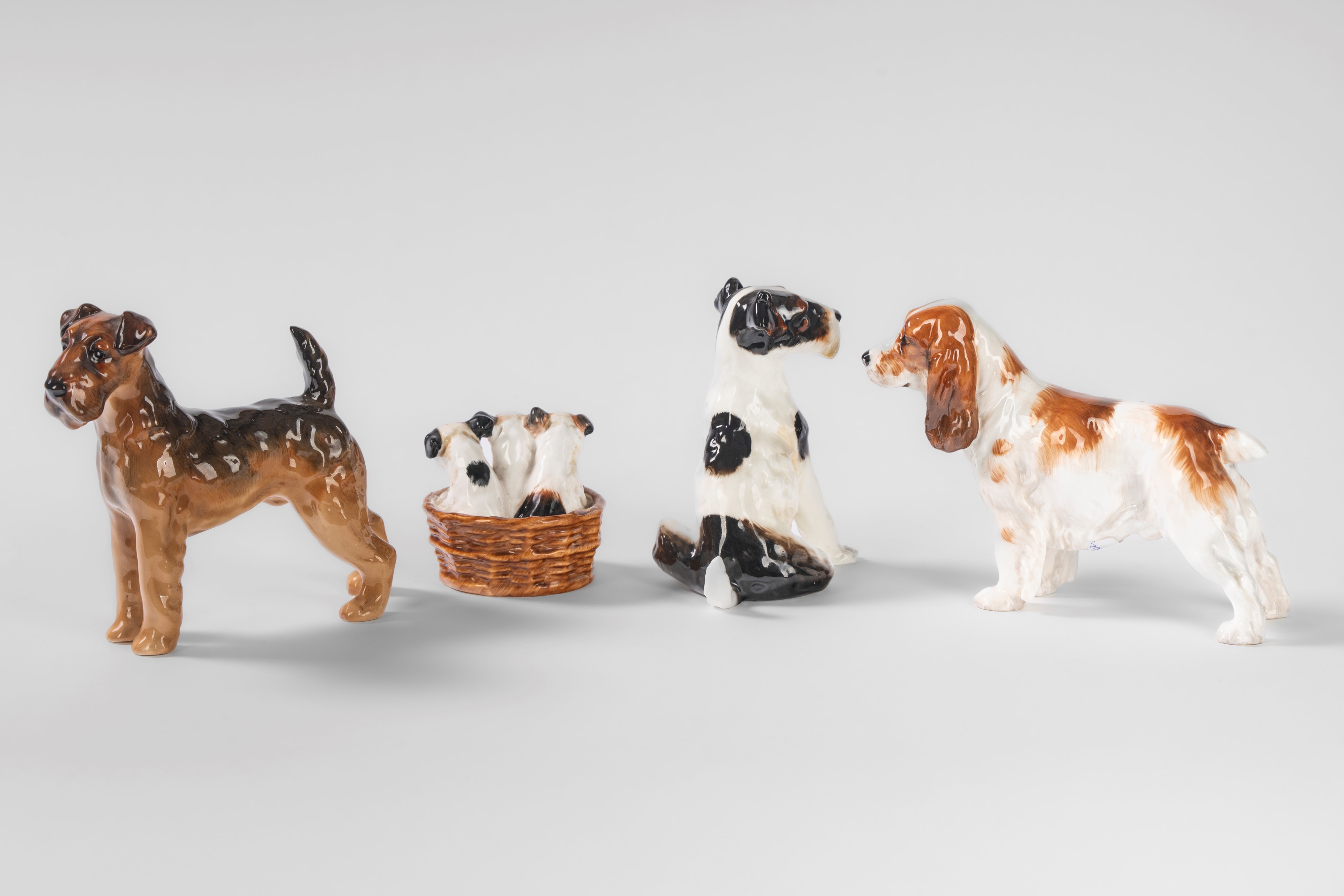 Royal Doulton, Due fox terrier e tre cuccioli di terrier con un cocker spaniel in porcellana poli...