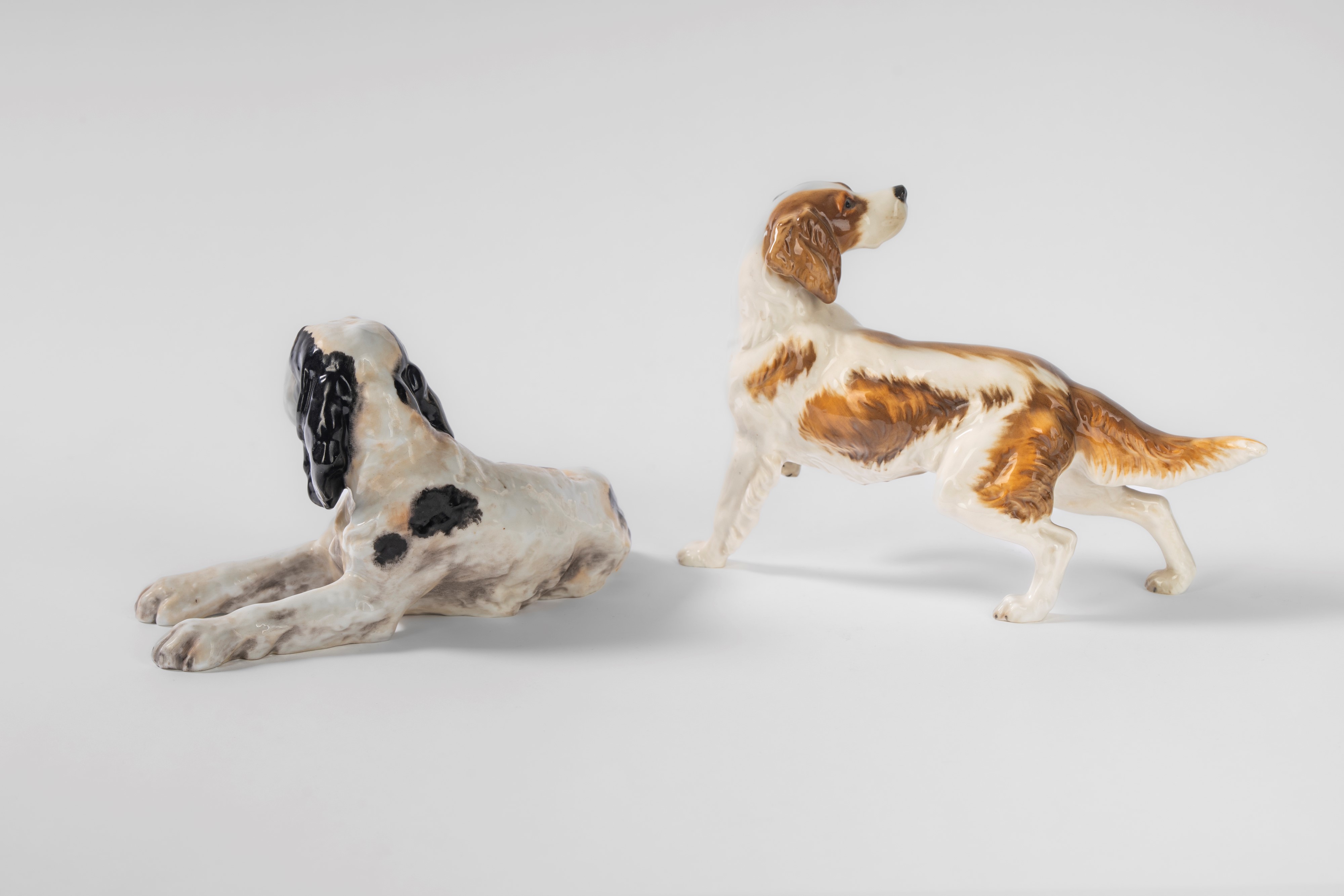 Hutschenreuther, Un Setter e uno Springer Spaniel in porcellana policroma, Germania, secolo XX e ...