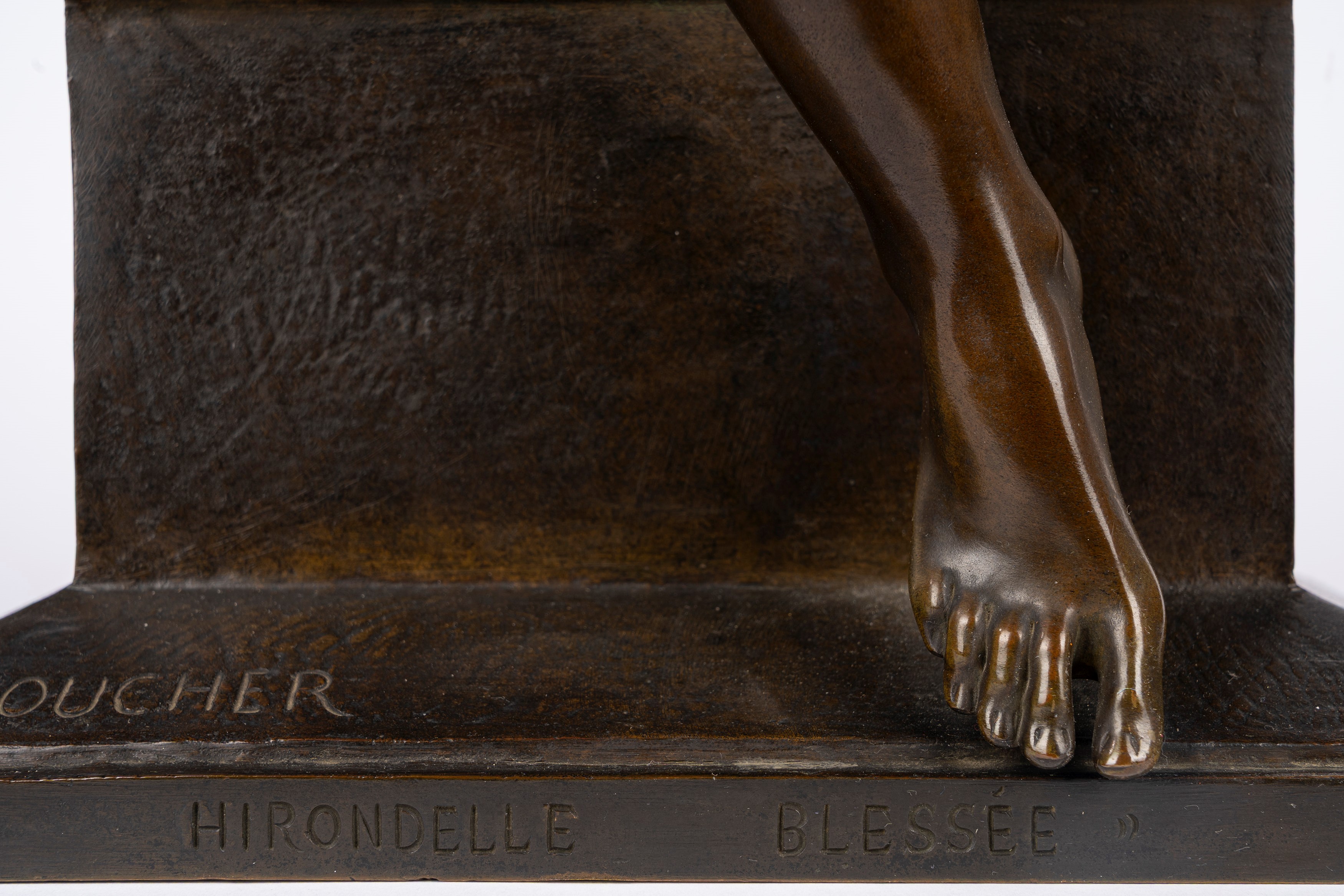 Hirondelle Blessée