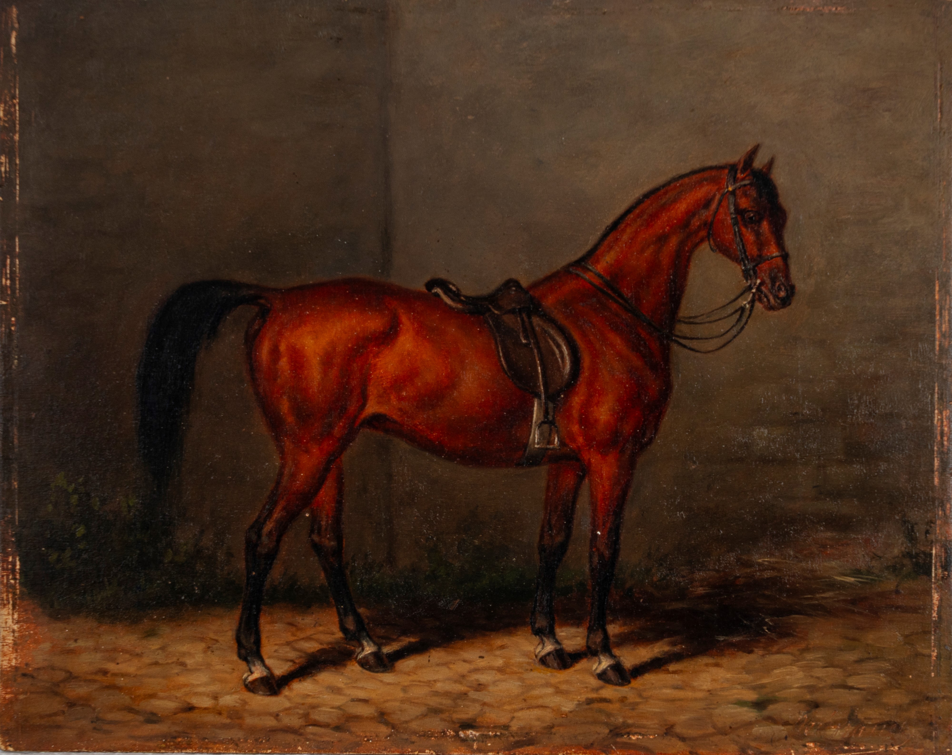 Scuola del Secolo XIX - Autore sconosciuto, Cavallo bianco e Cavallo bruno, coppia di oli su tavo...