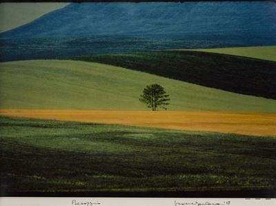 Paesaggio, C-print 1978