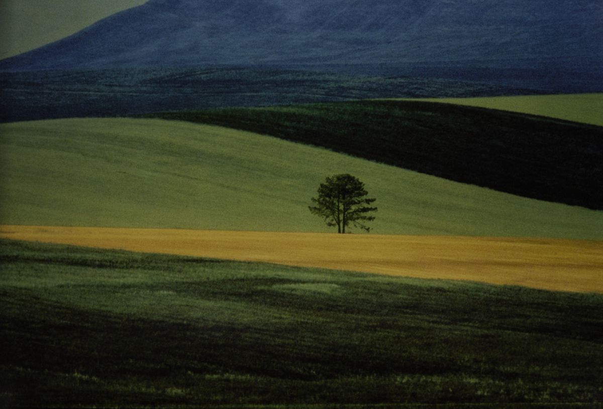 Franco Fontana - Paesaggio, C-print 1978