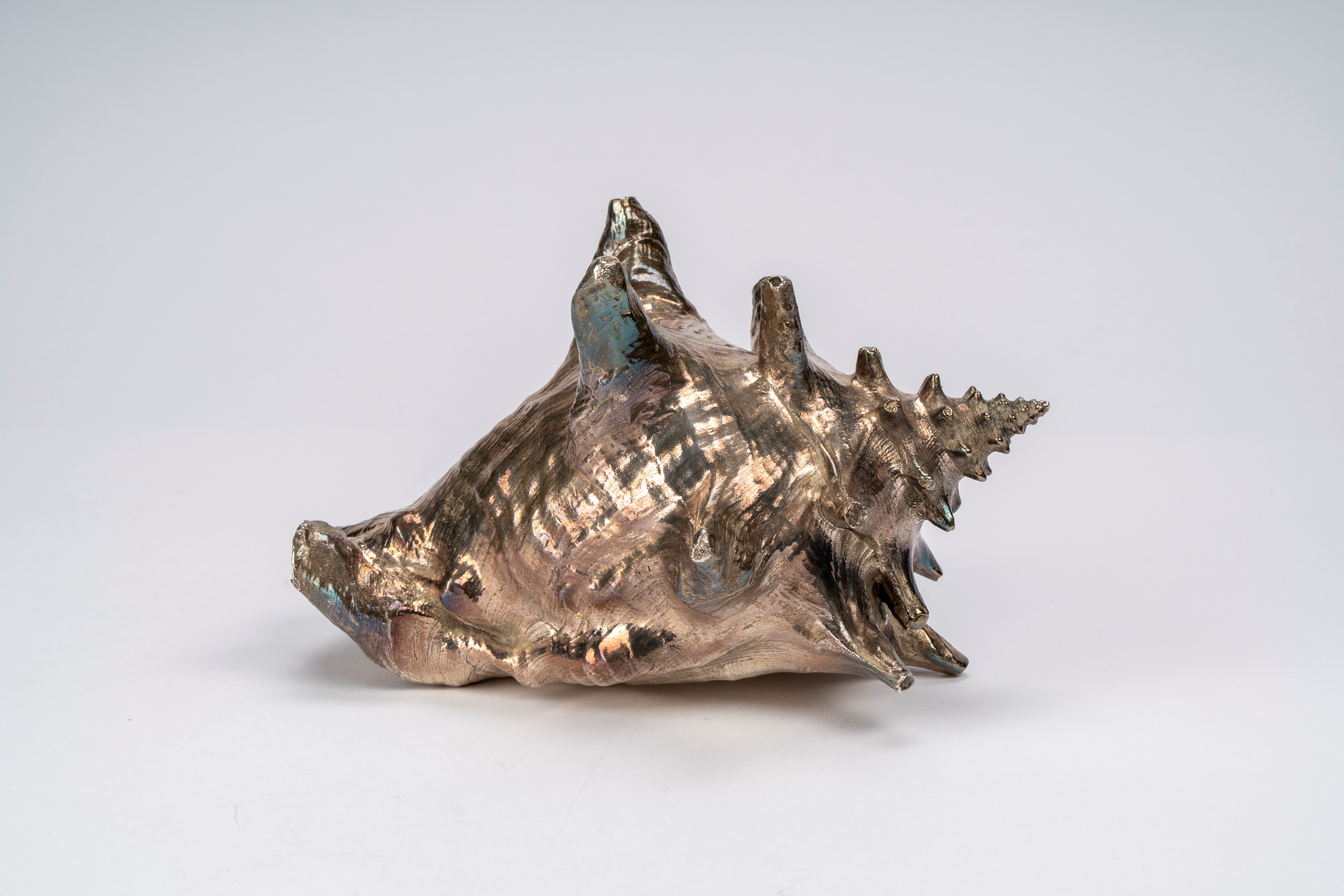 Federico Buccellati - Conchiglia decorativa, rivestita in argento