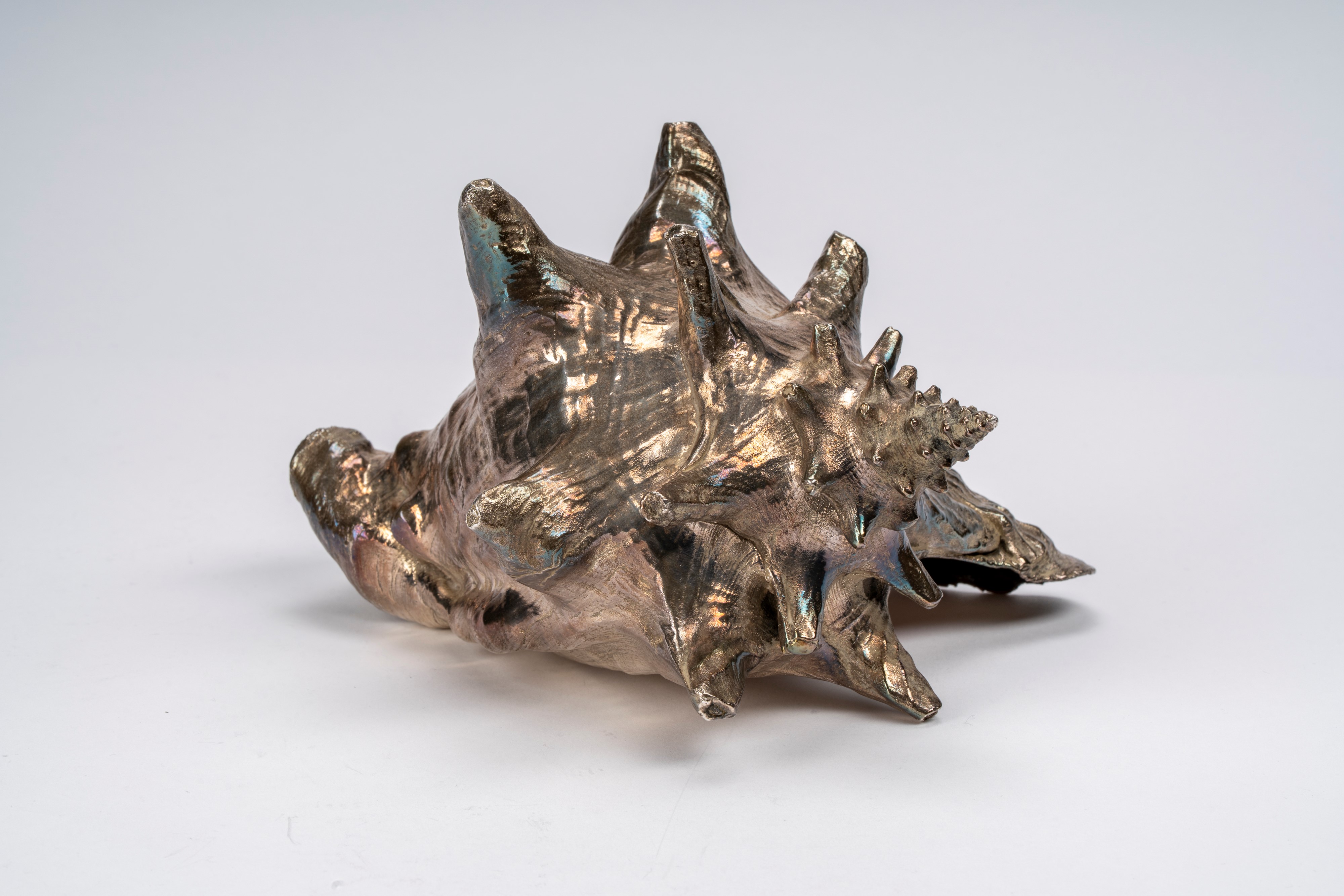 Federico Buccellati - Conchiglia decorativa, rivestita in argento