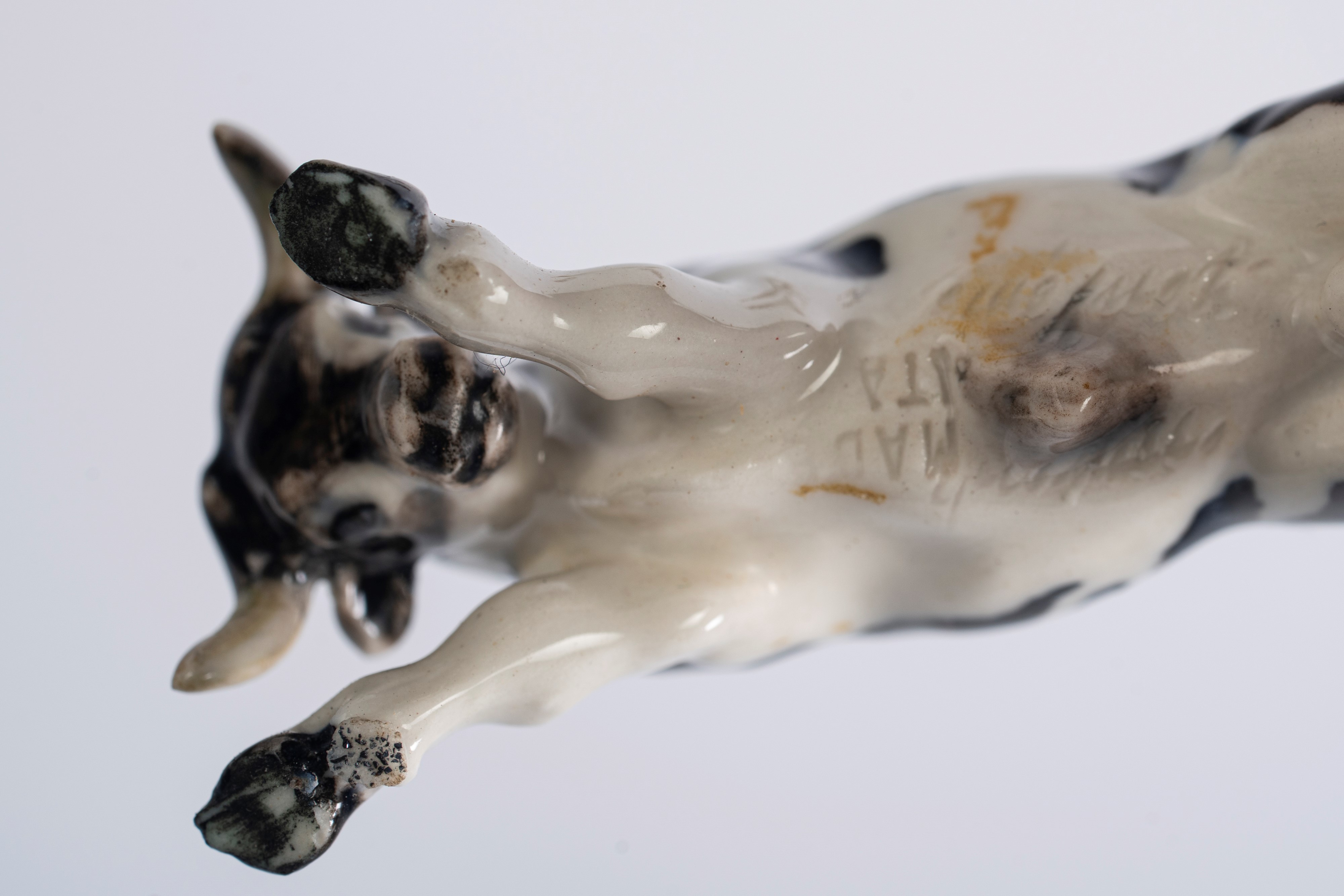 Guido Cacciapuoti - Lotto di sculture in porcellana policroma raffiguranti una giraffa, due tigri...