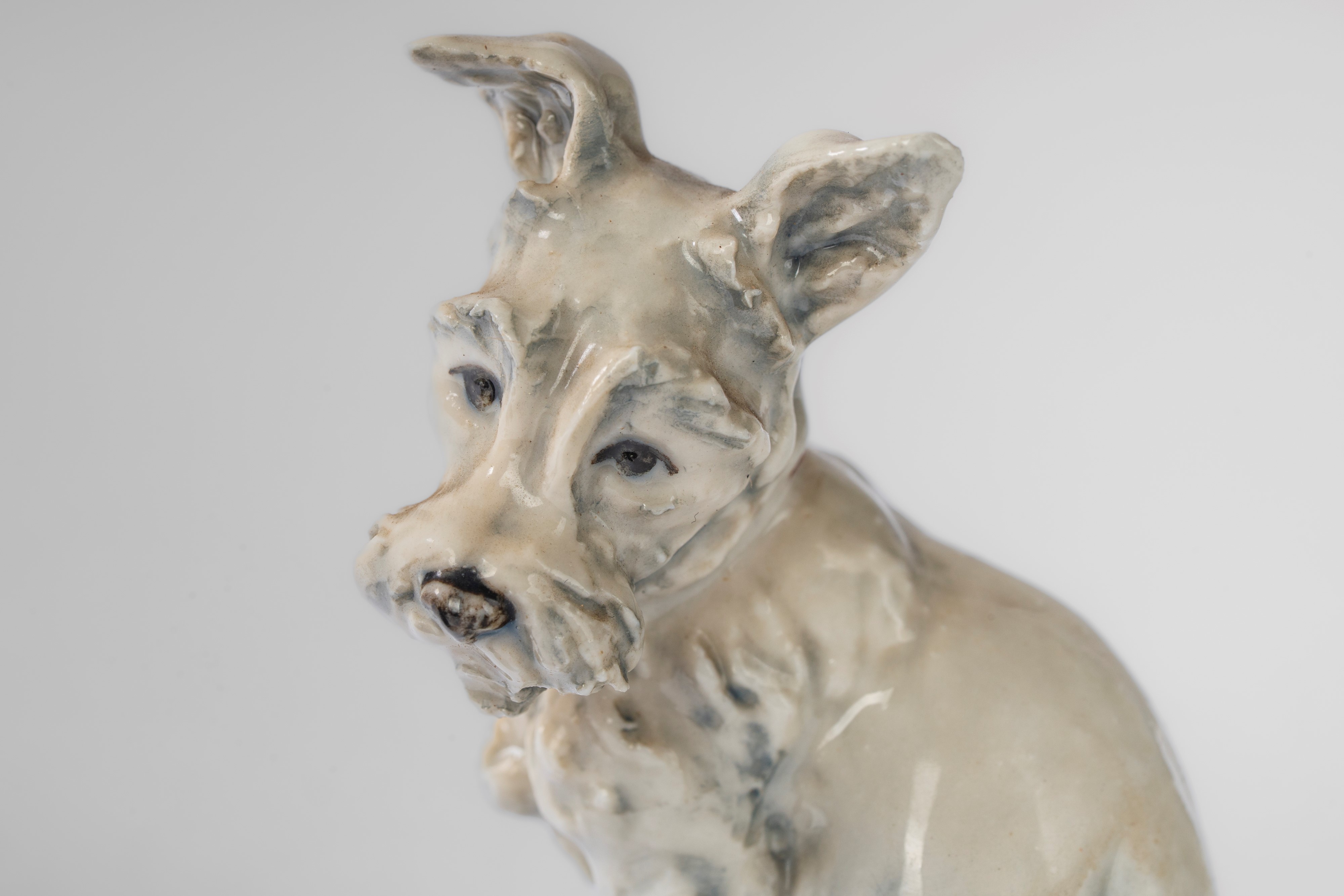 Guido Cacciapuoti - Scottish Terrier in porcellana policroma