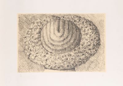Indéfrisable, litografia a colori (es. 75/80)