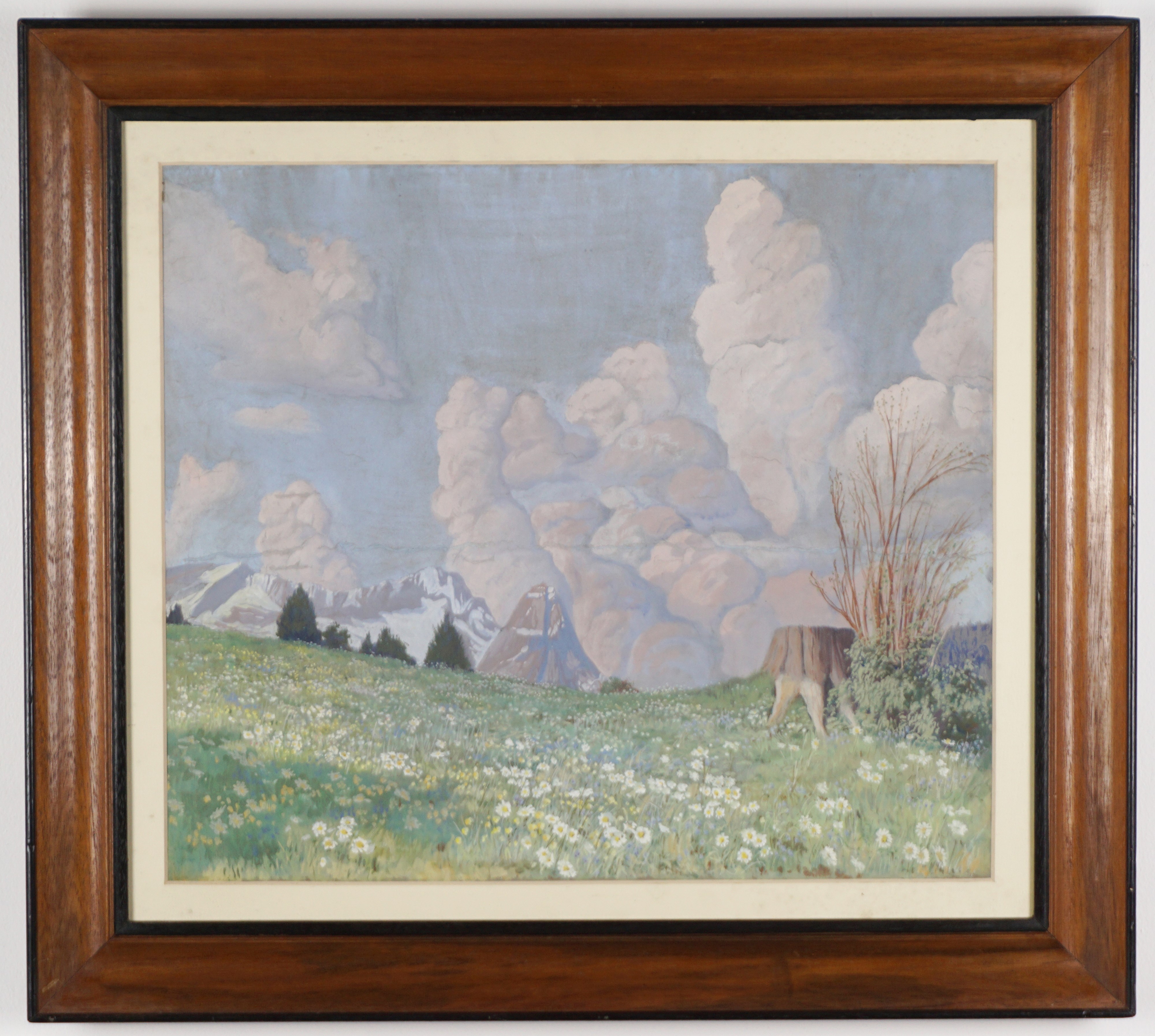 Paesaggio montano con prato fiorito