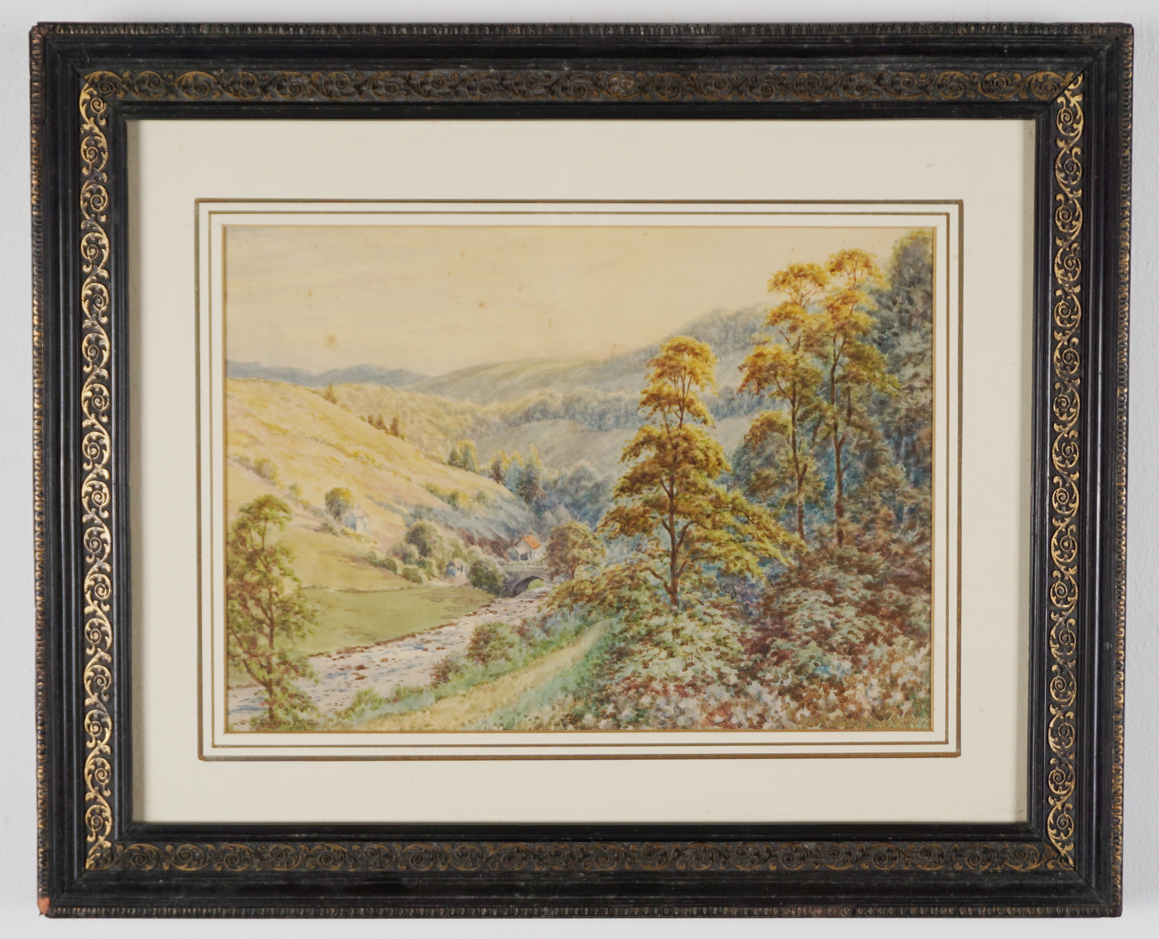 Paesaggio montano con torrente