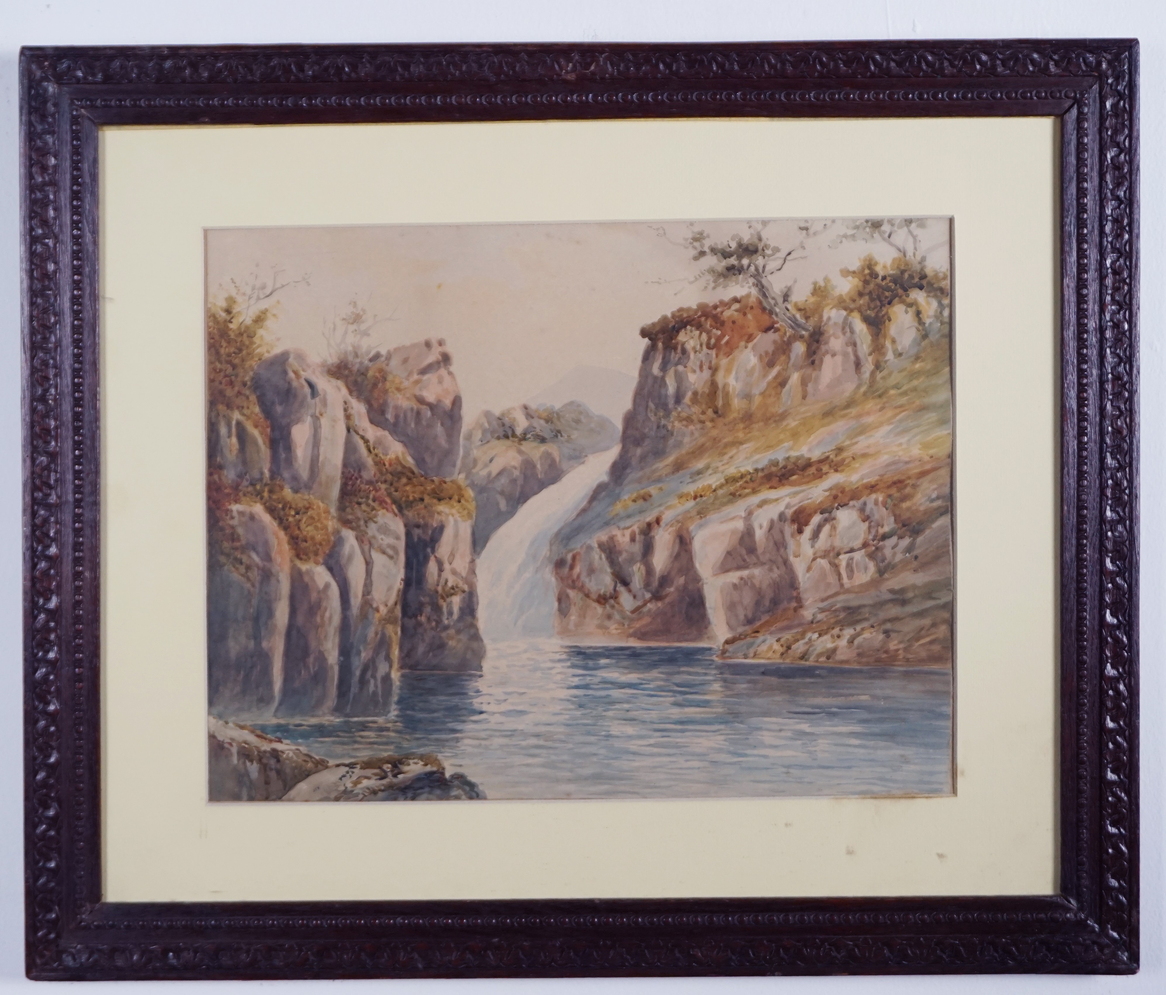 Paesaggio con cascata