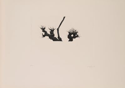 Albero (acquaforte acquatinta a colori, es. P.A.)
