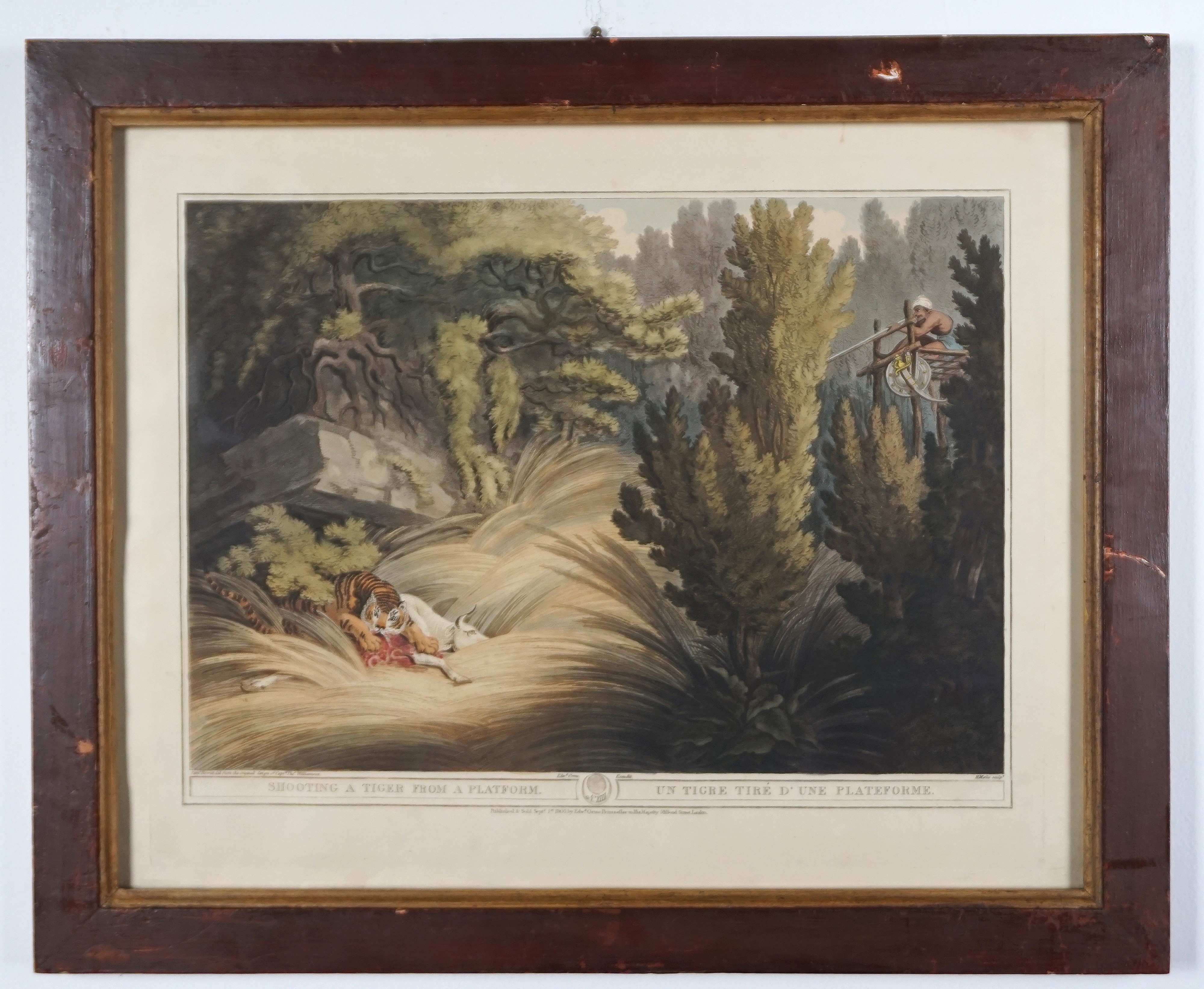 Incisione a colori dell'inizio del secolo XIX "Shooting a tiger from a platform"
