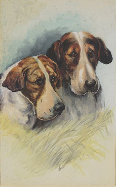 Cani, acquarello su carta in cornice