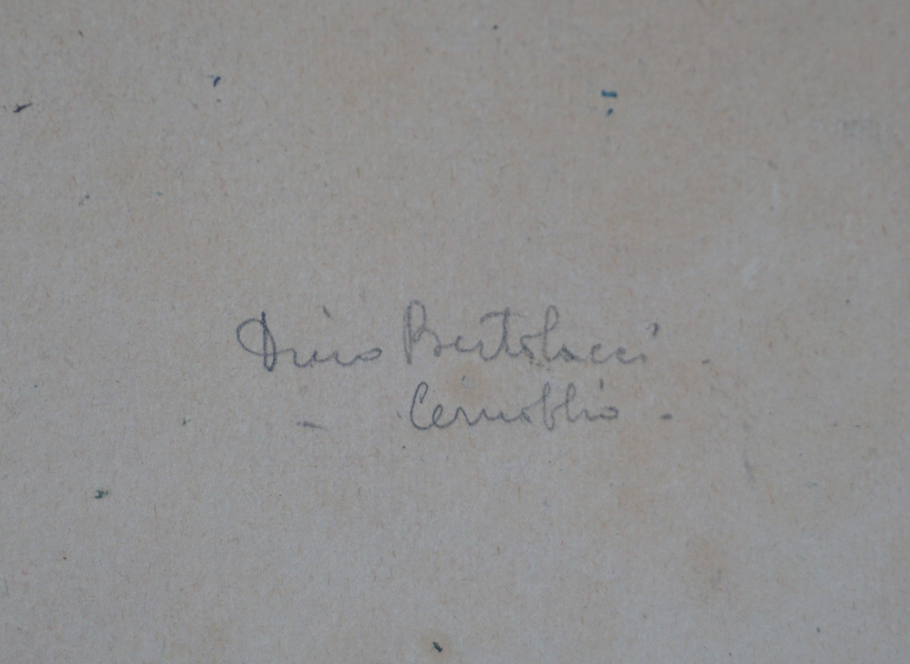 Lungolago a Cernobio