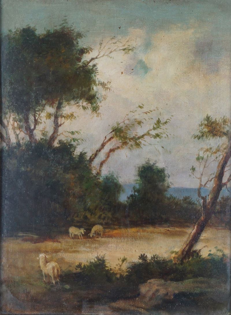 Paesaggi boschivi con pecore