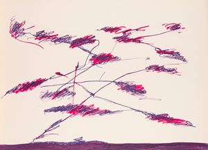 Composizione rosa-viola