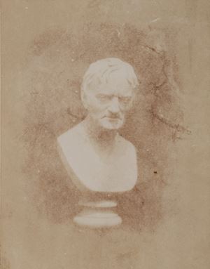 Study of a Marble Bust