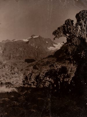 Glacier Bezingi, Caucase Ouganda Mount Stanley, R&eacute;publique D&eacute;mocratique du Congo