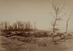 Senza titolo (Dintorni di Parigi)