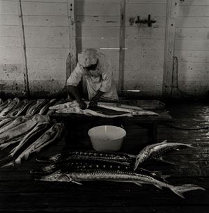 Senza titolo (Pescheria)