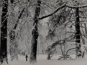 Nevicata nel parco del Castello, Milano