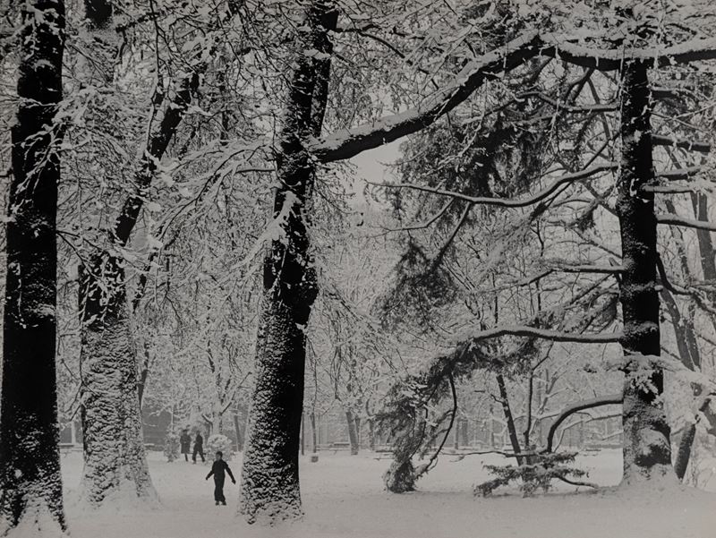 Nevicata nel parco del Castello, Milano