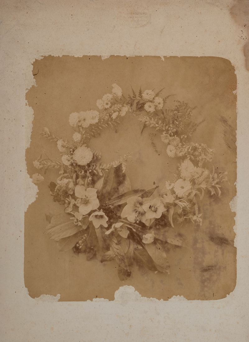 Senza titolo (Fiori)