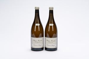 Domaine Etienne Sauzet (2 BT) MG