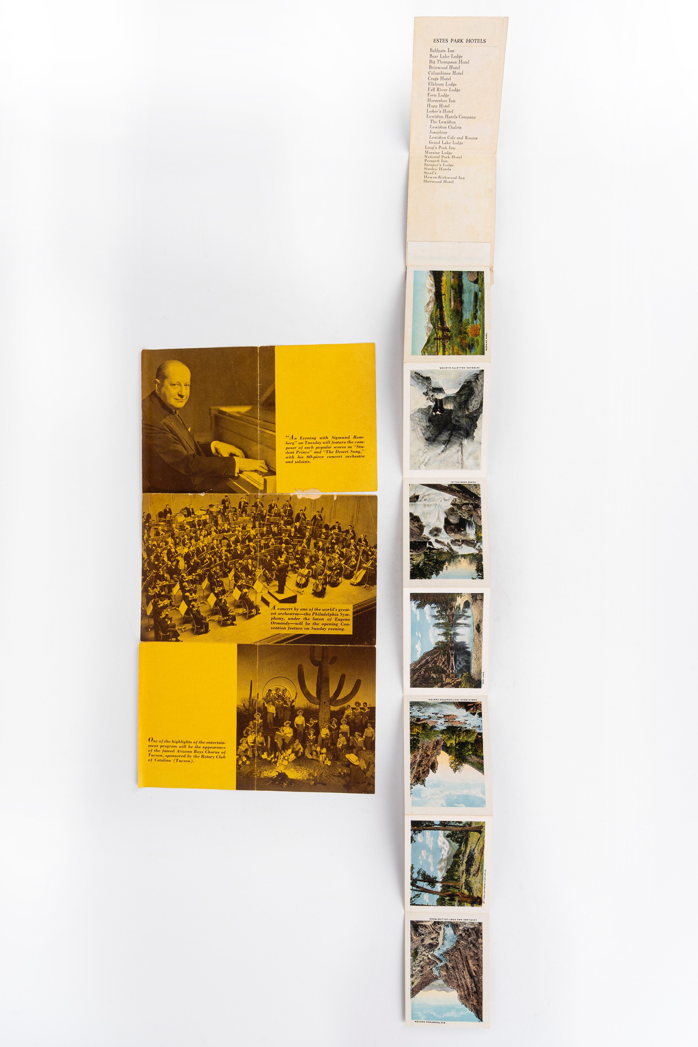 Insieme di tessere Visiting Rotarian di diversi club internazionali