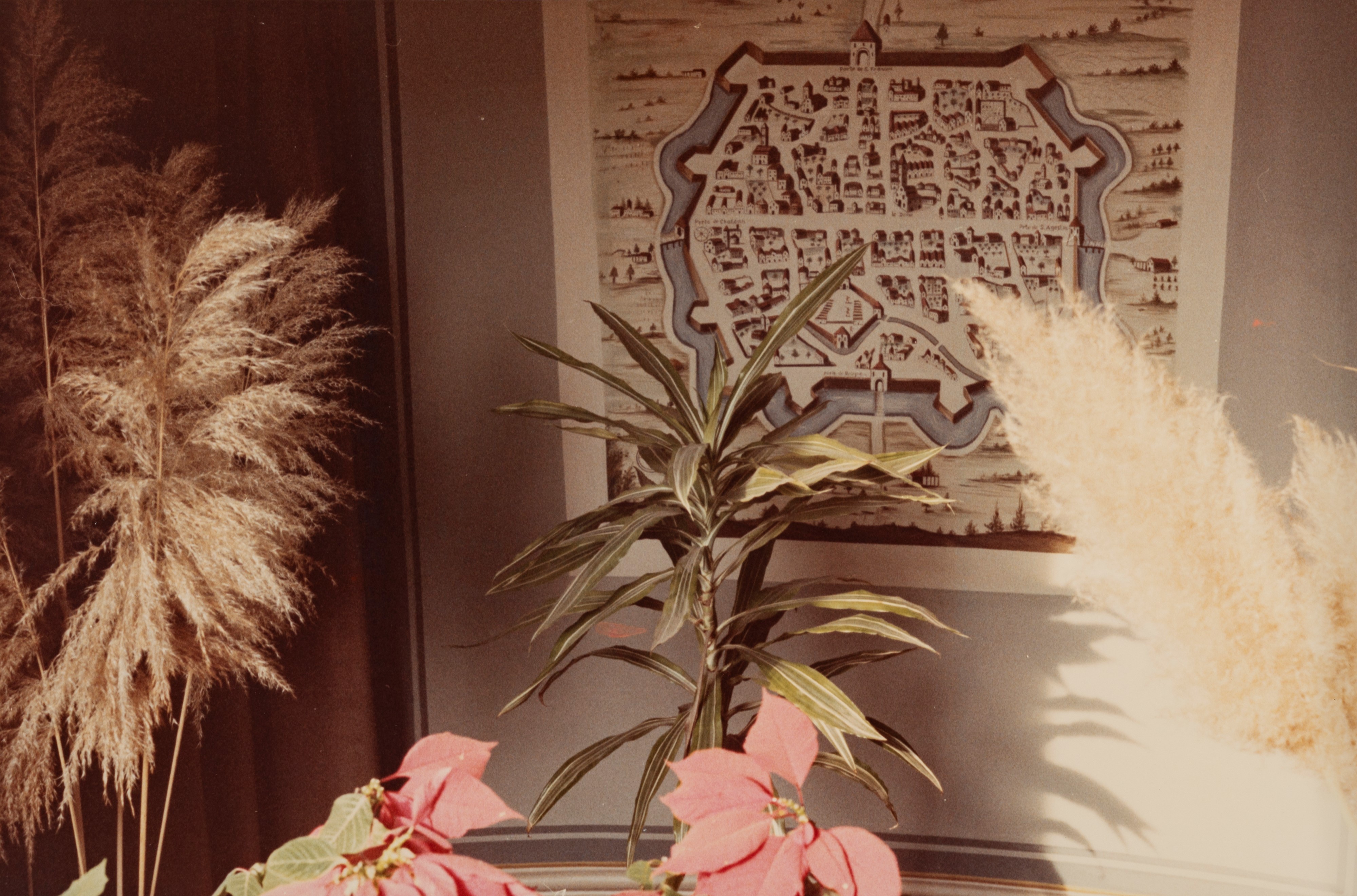 Portfolio Comune di Modena