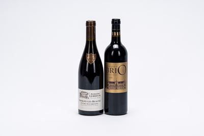 Selezione di vini dalla Francia: BriO de Cantenac Brown 2018 e Domaine Lebreuil Aux Gravains, Sav...