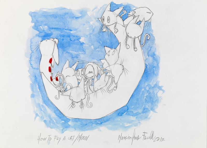 Come far volare un gatto