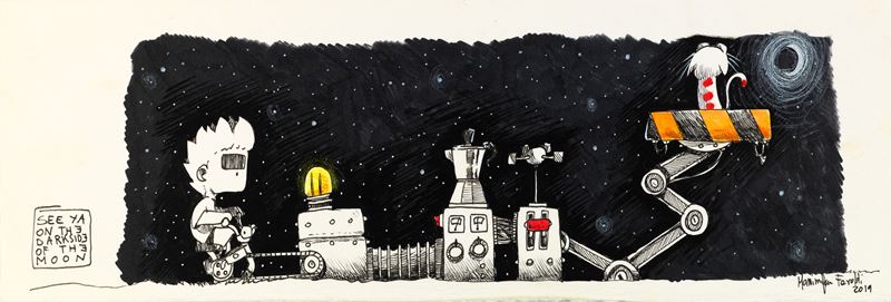 Come far volare un gatto