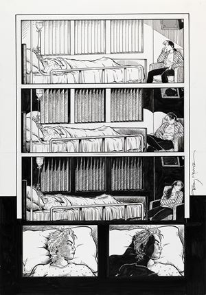 Strangers in Paradise - A Field of Lions